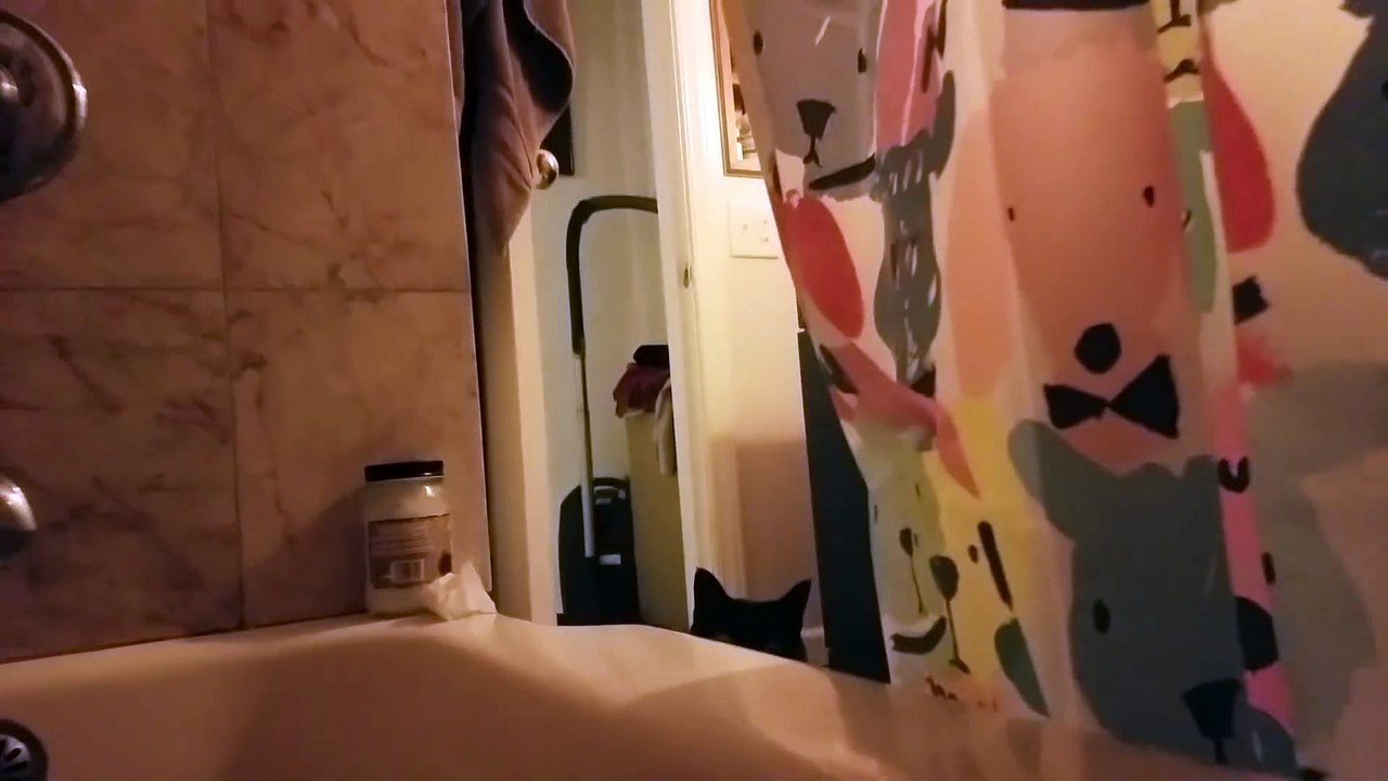 Il chante une chanson que son chat déteste... regardez ce que va faire le félin !