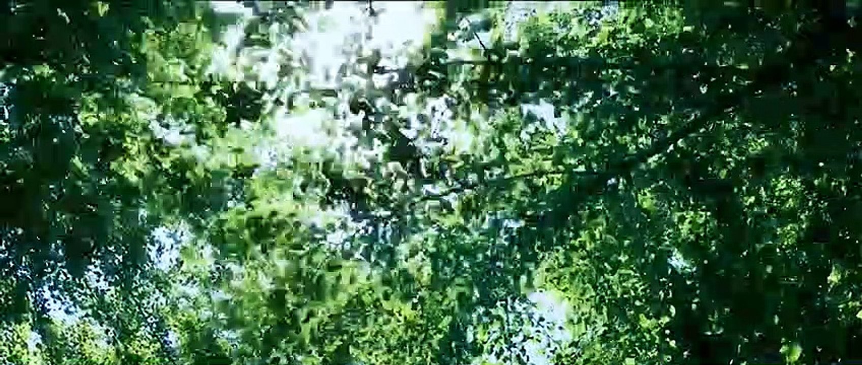A Love So Beautiful Ep 23 (End)