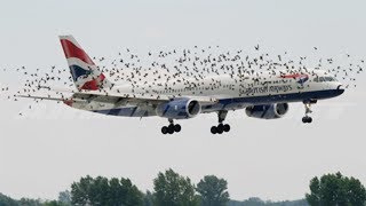 If it were not FILMED, no one would BELIEVE IT - Videos you will not believe