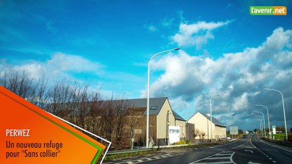 L'Avenir - Un nouveau refuge pour l'asbl "Sans collier" à Perwez