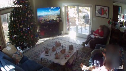 Timber! Hilarious Christmas tree fail in New York state