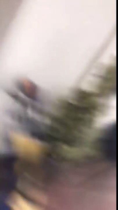 Largage d'un Canadair au-dessus d'une maison en Californie proche de l'incendie de Los Angeles !