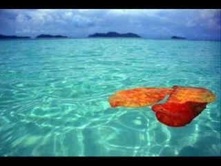 Soul & funk & dance classics ££