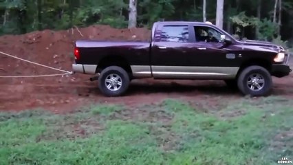 Deux-idiots-veulent-arracher-un-arbre