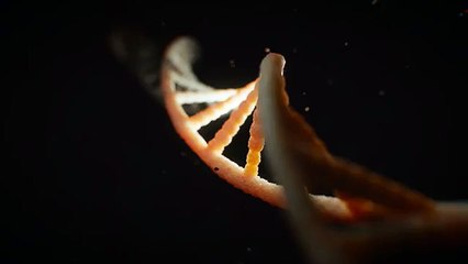 PlayerUnknown's Battlegrounds Version 1.0 Release