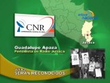 SERÁN RECONOCIDOS - CNR