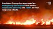 Trump Approves Emergency Declaration in California to Help Fight Wildfires