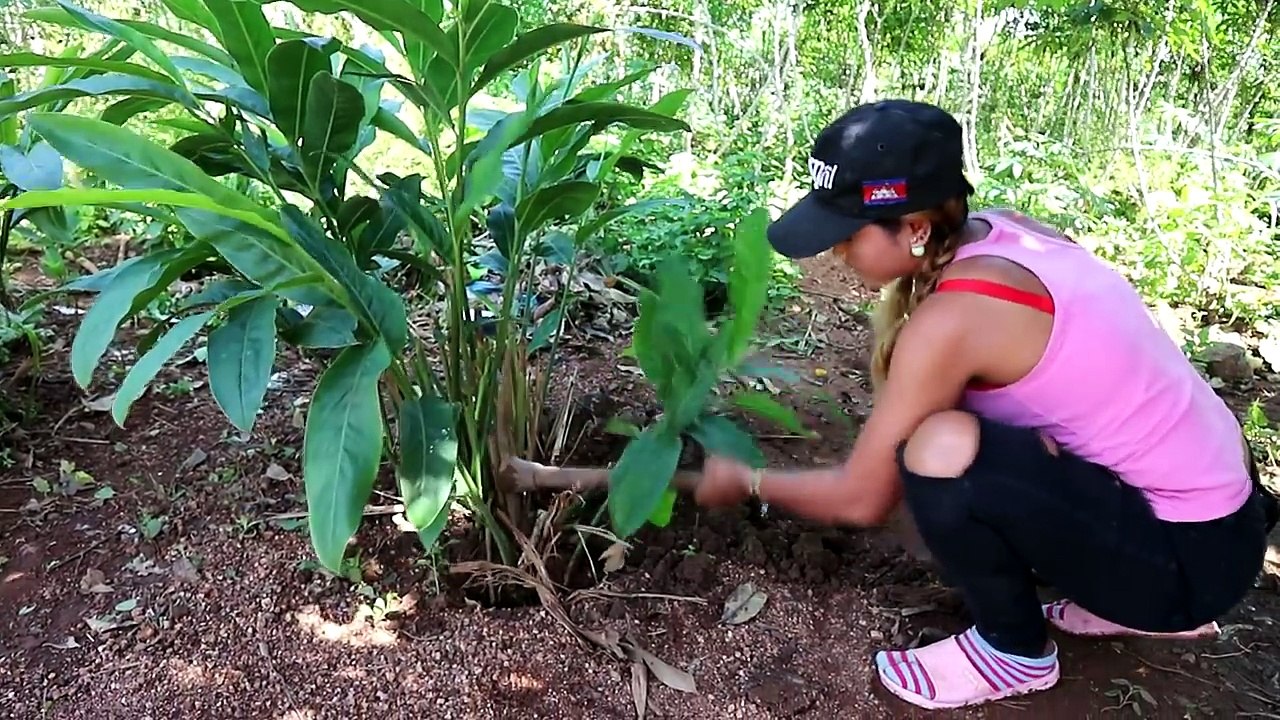 Awesome cooking Khmer girls - Beautiful Khmer cooks meals in my village