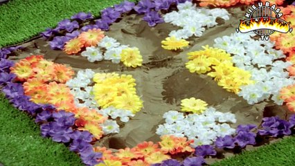 Sąsiedzi - Aparat [Przeróbka Dubbing 18+]