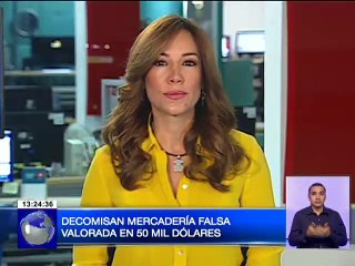 Decomisan mercadería falsa valorada en 50 mil dólares