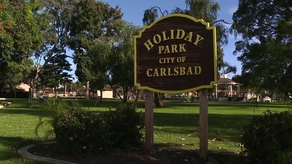 Man Killed by Falling Tree Branch in California