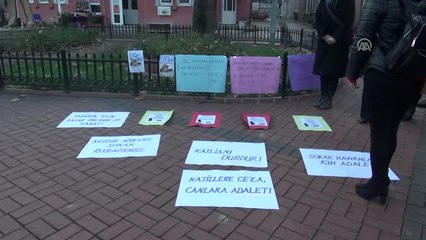 Sokak Köpeklerinin Telef Edildiği İddiası