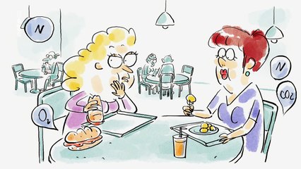 Tu mourras moins bête - Autant en emporte le vent - ARTE