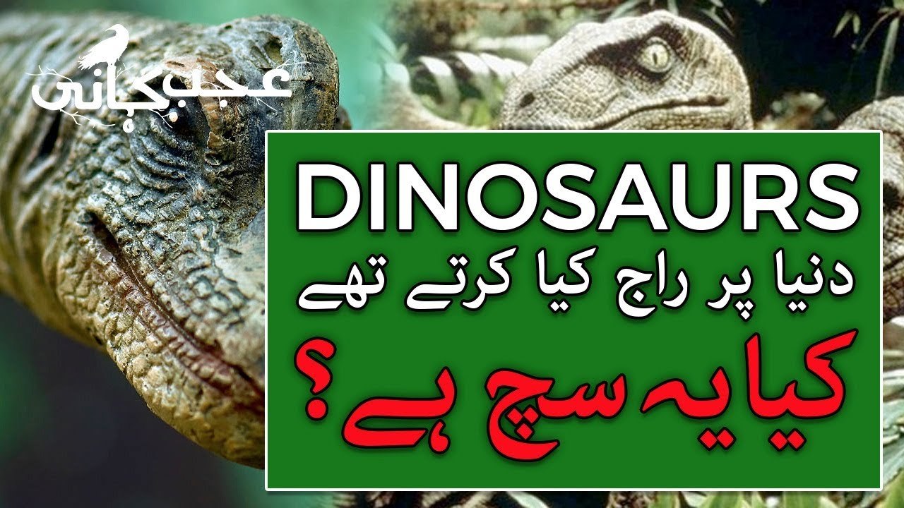 History of Dinosaur in Urdu - Mysteries of Dinosaur - Ajab Kahani
