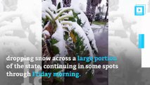 It Snowed In Texas And People Didn't Know What To Do