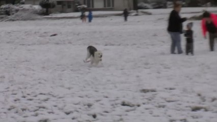 美 텍사스주 30년 만에 눈 쌓여...'기상이변' / YTN