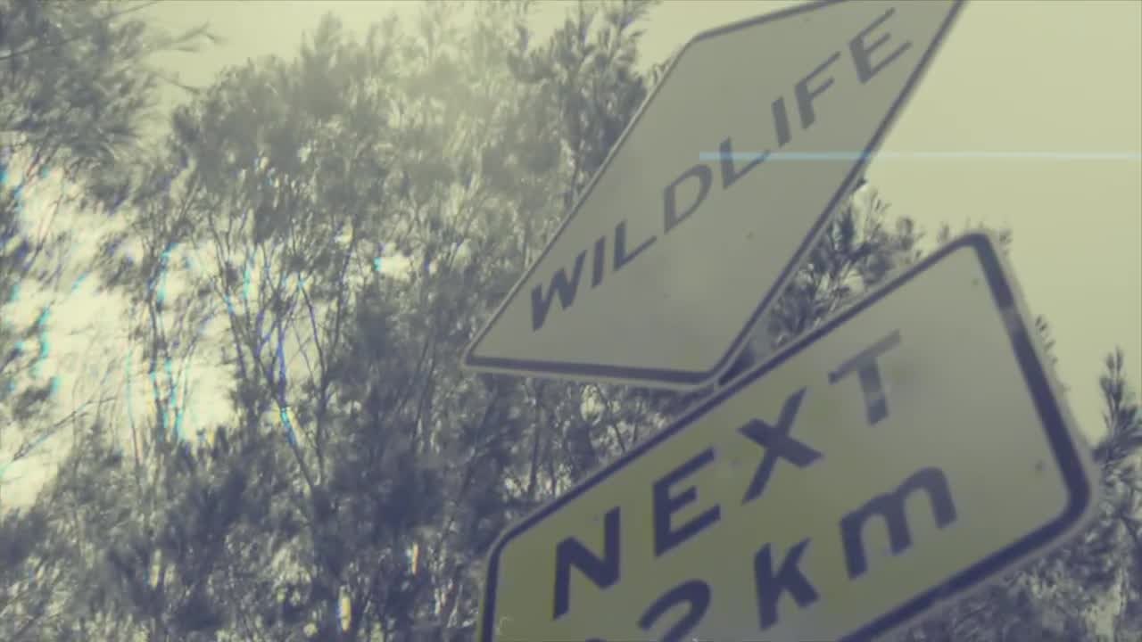 Mercedes-BEnz Intelligent World Drive - Australia