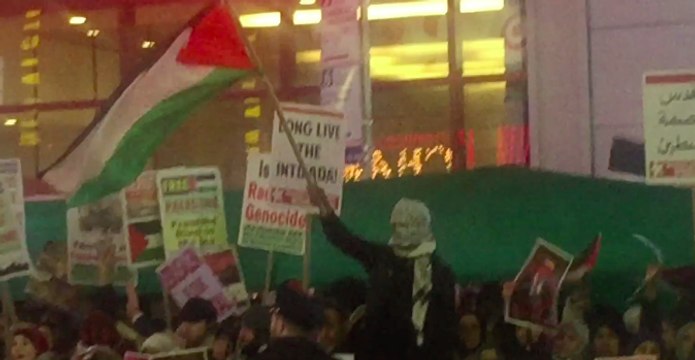 Pro-Palestinian Demonstrators Protest Jerusalem Decision in Times Square