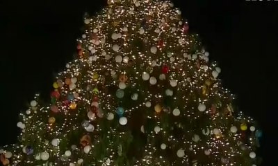 Pohon Natal Raksasa Hiasi Alun-Alun Saint Peter