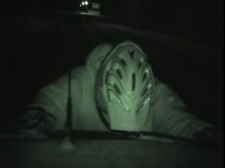 roller sur neige 2003