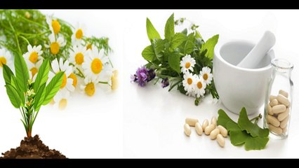 Freiverkäufliche Arzneimittel - Sachkundenachweis - Kräuterschein