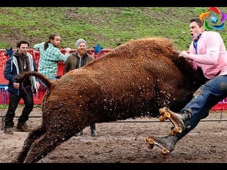 Cow attack on people funny videos - Cow attack people very funny