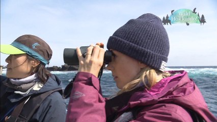 20171209 Wild Hokkaido!「秋　知床の海岸」日本語字幕版