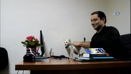Yaralı Bulunan Kedi, Kurumun Maskotu Oldu