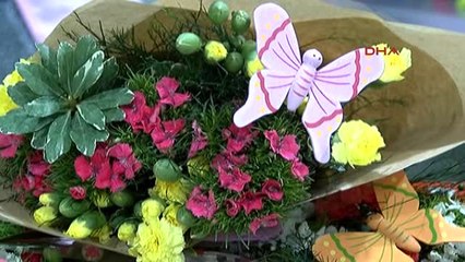 Antalya'dan 50 Milyon Dal Noel Çiçeği