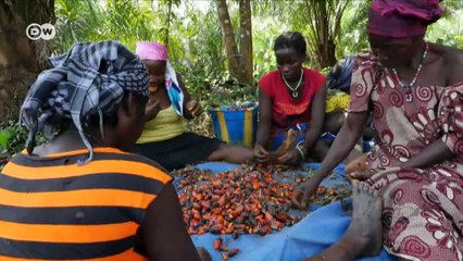 World stories for December 9, 2017 | DW English