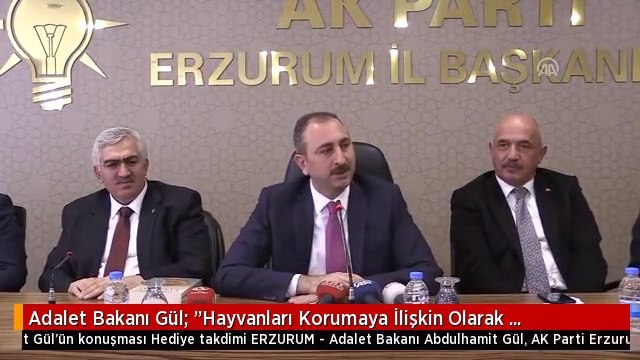 Adalet Bakanı Gül: Hayvanları Korumaya İlişkin Olarak Düzenlemelerimizde Son Aşamaya Geldik