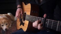Game of Thrones Theme on a 12-String Guitar