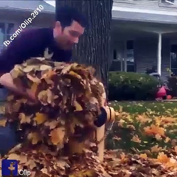 Funny Fails