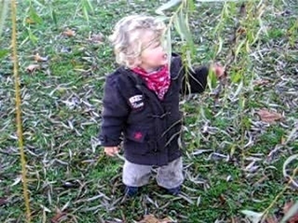 Amaury s'éclate au parc