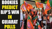Gujarat Assembly polls : Bookies predict BJP as winner, Congress to come on second | Oneindia News