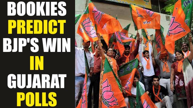 Gujarat Assembly polls : Bookies predict BJP as winner, Congress to come on second | Oneindia News