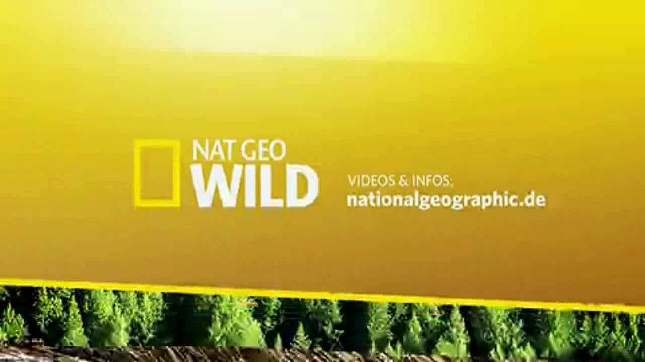 Savage Kingdom - S1E2: Bleiches Rudel