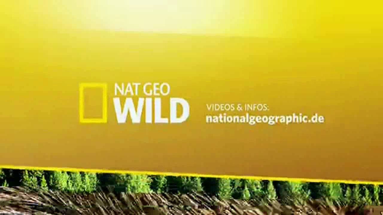 Savage Kingdom - S1E3: Löwinnen des Nordens