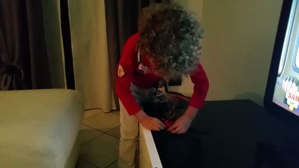 003 La Battaglia dei Dinosauri in salotto di Christian Superstar HD