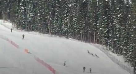 The Last Thing You Want To Worry About During Your Ski Race Is A Family Of Deer Cutting Across The Course