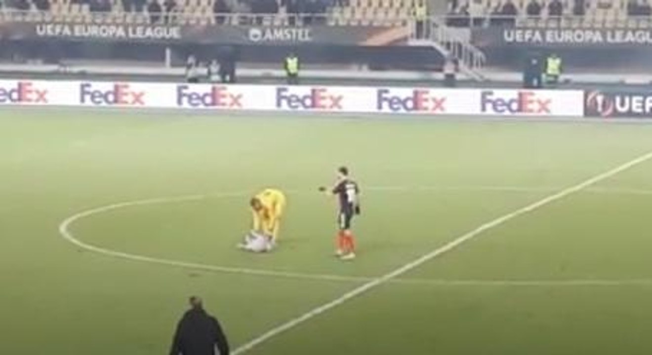 Another Tense Soccer Match Interrupted By A Dog That Just Wants To Play