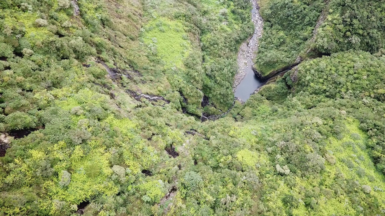 DRONE 1