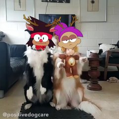 When it's time for a family photo and your sibling acts all extra  Get our FREE holiday stickers on Kik now!  : @positivedogcare/instagram