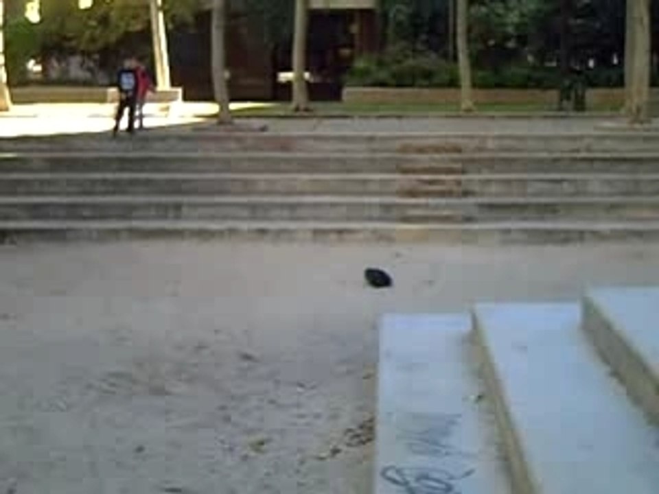 Motal raro