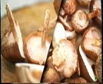 Higiene bucal microbiana: Setas shiitake