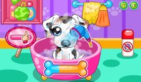 kid dog - bingo dog song - nursery rhyme with lyrics - cartoon animation for children