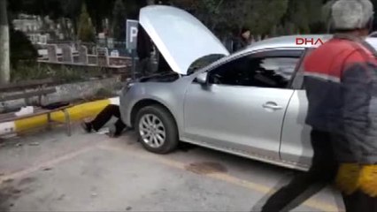 Kocaeli Yavru Kedi Ürkünce Ardı Ardına Araçların Motorlarına Girdi