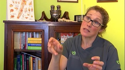 Made TV News - Bristol - 11th December