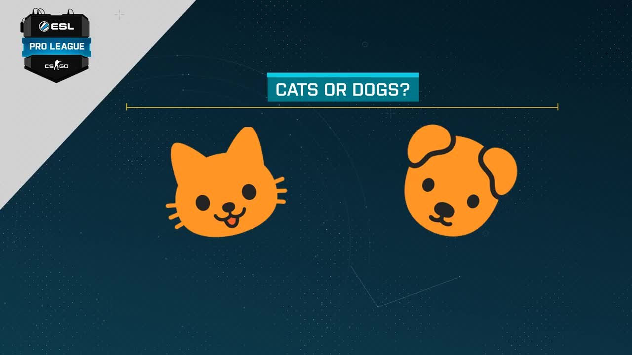 Cats or Dogs?