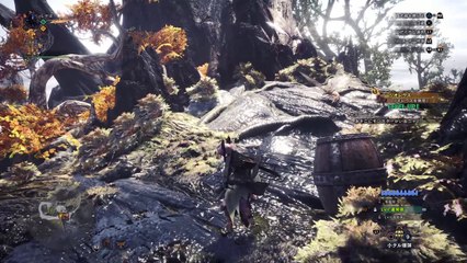 モンスターハンター：ワールド　ベータテスト版_20171210093801